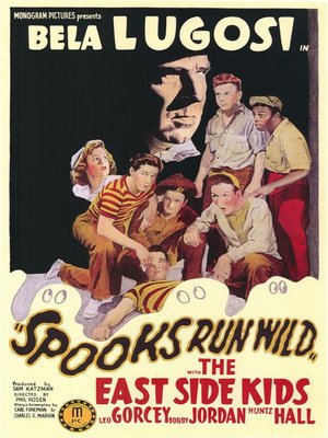 cover image of Spooks Run Wild